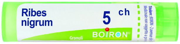 RIBES NIGRUM 5CH GRANULI - Farmapre