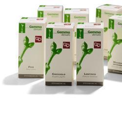 RIBES NERO MACERATO GLICERICO 200 ML - Farmapre