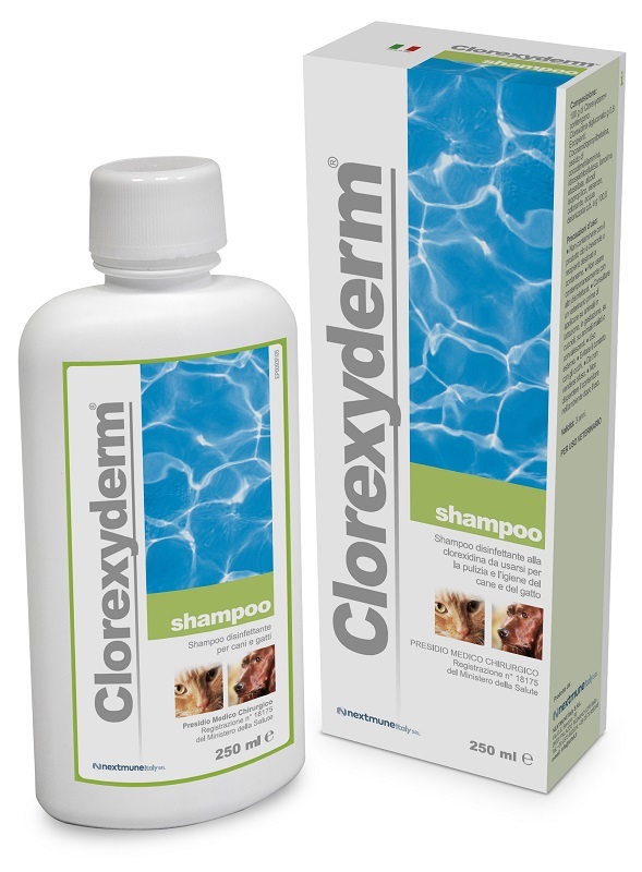 CLOREXYDERM SHAMPOO 250 ML - Farmapre