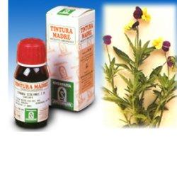 VIOLA DEL PENSIERO 32 50ML TM - Farmapre