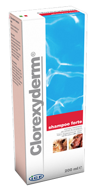 CLOREXYDERM SHAMPOO FORTE 200 ML - Farmapre
