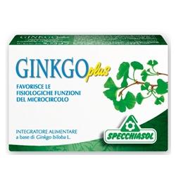 GINKGO PLUS 30 CAPSULE - Farmapre