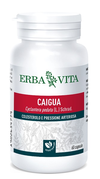 CAIGUA 60 CAPSULE 400 MG - Farmapre