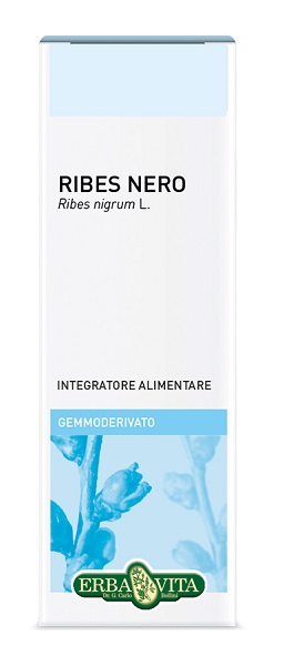 GEMMODERIVATO RIBES NERO 50 ML - Farmapre