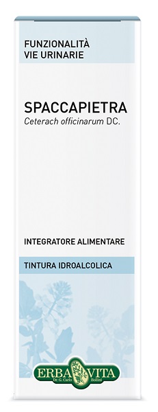 SPACCAPIETRA TINTURA IDROALCOLICA 50 ML EBV - Farmapre