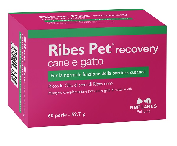 RIBES PET RECOVERY BLISTER 60 PERLE - Farmapre