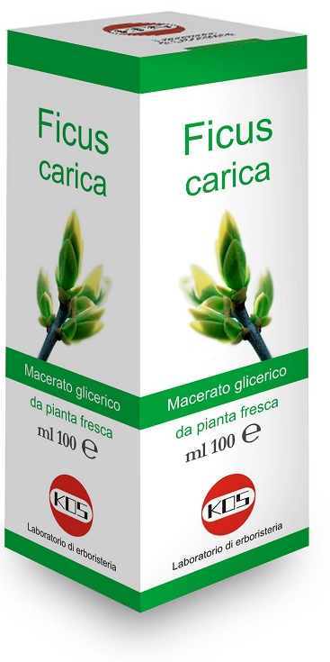 FICUS CARICA MACERATO GLICERICO 100 ML - Farmapre