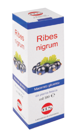 RIBES NIGRUM MACERATO GLICERICO 100 ML GOCCE - Farmapre