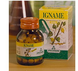 IGNAME ERBE 60TAV - Farmapre
