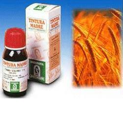 AVENA SATIVA 3 50ML TM - Farmapre
