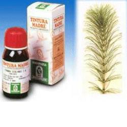 EQUISETO 12 50ML TM - Farmapre