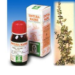 UVA URSINA 30 50ML TM - Farmapre