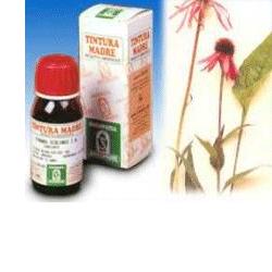 ECHINACEA 59 50ML TM - Farmapre