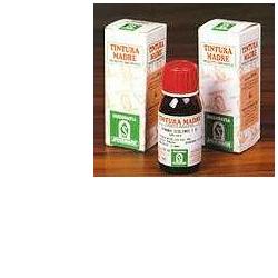 ERISIMO 61 50ML TM - Farmapre