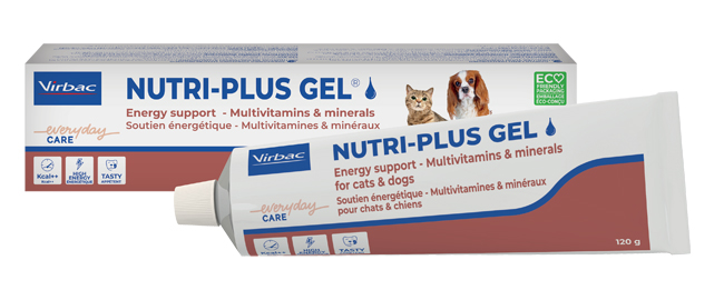 NUTRIPLUS GEL PASTA ORALE 120 G - Farmapre
