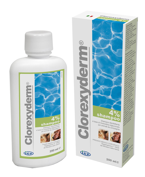 CLOREXYDERM SHAMPOO 4% 250 ML - Farmapre