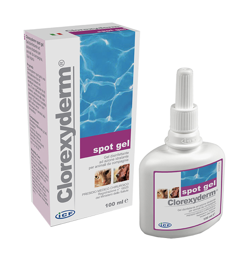 CLOREXYDERM SPOT GEL 100 ML - Farmapre