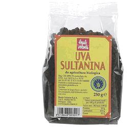UVA SULTANINA 250 G - Farmapre