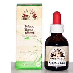 FITOBLASTO RIBES NIGRUM 50 ML - Farmapre