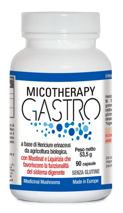 MICOTHERAPY GASTRO 90 CAPSULE - Farmapre