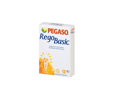 REGOBASIC 12 BUSTINE POLVERE - Farmapre