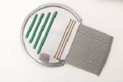 PETTINE ACCIAIO PER RIMOZIONE PIDOCCHI - Farmapre