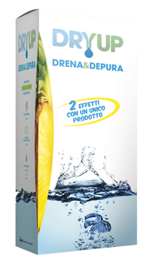 DRYUP 300 ML - Farmapre