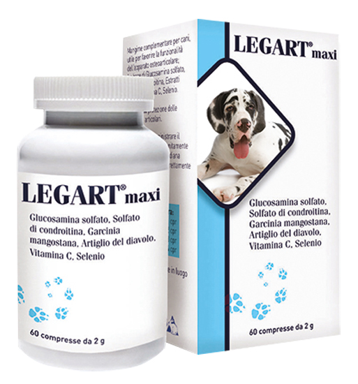 LEGART MAXI 60 COMPRESSE 2 G - Farmapre