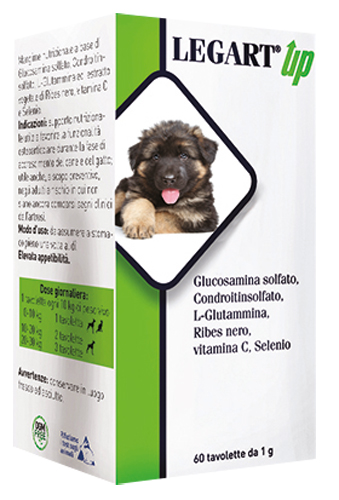 LEGART UP 60 COMPRESSE DA 1 G - Farmapre