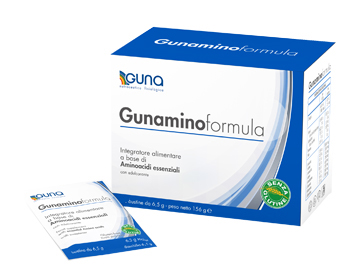GUNAMINOFORMULA 42 BUSTINE 273 G - Farmapre