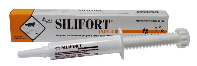 SILIFORT PASTA OS SIRINGA 15 G - Farmapre