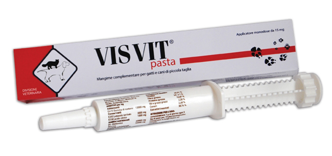 VISVIT PASTA OS SIRINGA 15 G - Farmapre
