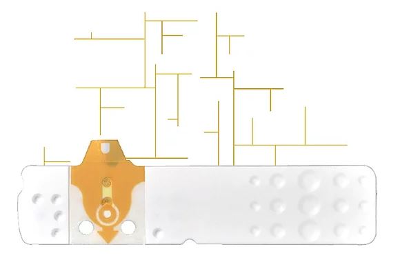 STRISCE MISURAZIONE GLICEMIA LINEA D ORO 25 PEZZI - Farmapre