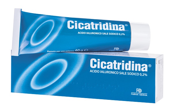 CICATRIDINA POMATA 60 G - Farmapre