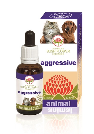 AGGRESSIVE 30 ML - Farmapre