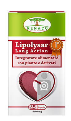 LIPOLYSAR LONG ACTION 45 CAPSULE - Farmapre