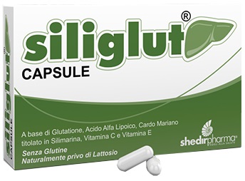 SILIGLUT 20 CAPSULE - Farmapre