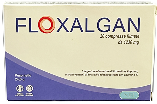 FLOXALGAN 20 COMPRESSE RIVESTITE DA 1,02 G - Farmapre