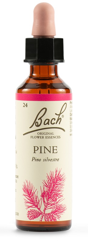 PINE BACH ORIG 20 ML - Farmapre