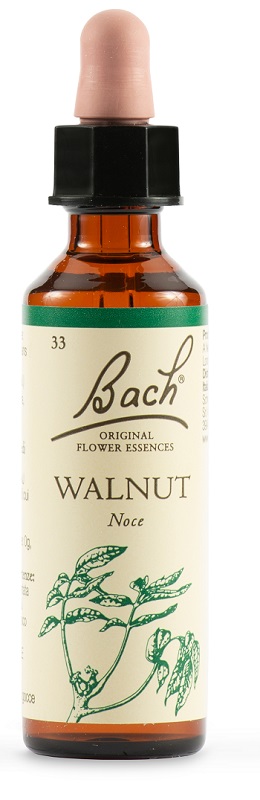 WALNUT BACH ORIG 20 ML - Farmapre