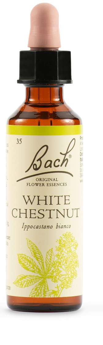WHITE CHEST BACH ORIG 20 ML - Farmapre
