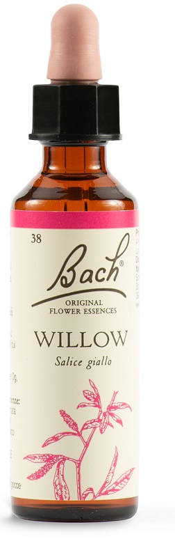 WILLOW BACH ORIG 20 ML - Farmapre