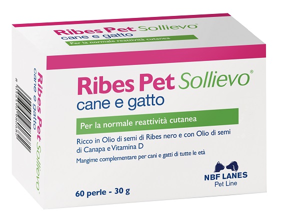 RIBES PET SOLLIEVO BLISTER 60 PERLE - Farmapre