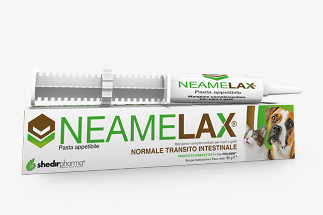 NEAMELAX PASTA 30 G - Farmapre