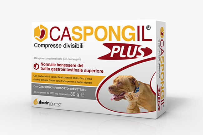 CASPONGIL PLUS 30 COMPRESSE - Farmapre