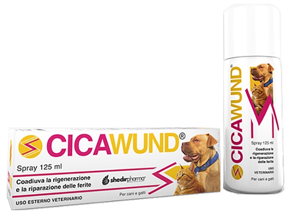 CICAWUND SPRAY 125 ML - Farmapre