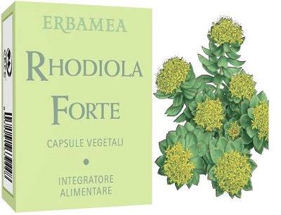 RHODIOLA FORTE 24 CAPSULE - Farmapre