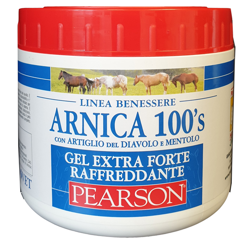 ARNICA 100'S EXTRA FORTE 500 ML - Farmapre