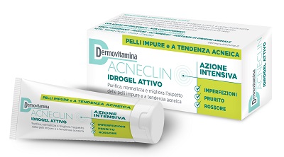 DERMOVITAMINA ACNECLIN IDROGEL ATTIVO AZIONE INTENSIVA 40 ML - Farmapre