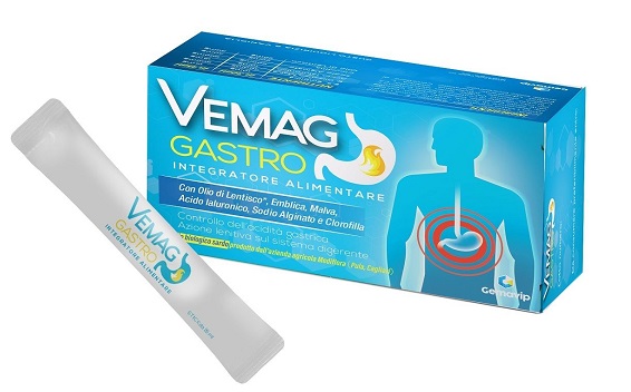 VEMAG GASTRO 20 STICK - Farmapre